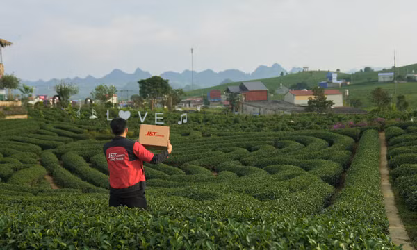J&T Express hỗ trợ hộ kinh doanh chè Thái Nguyên 