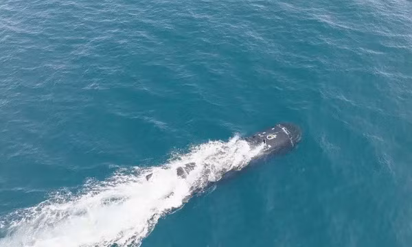 UUV XV Excalibur của Anh. Ảnh: Hải quân Hoàng gia Anh