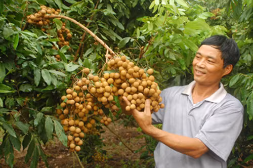 Nhãn VietGap Hưng Yên sẽ có mặt trên siêu thị toàn quốc ảnh 1