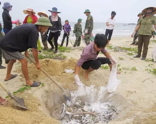 Phản biện kỹ trước khi công bố nguyên nhân cá chết ảnh 1
