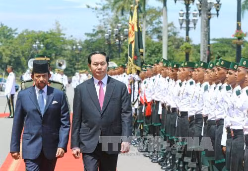 Lễ đón chính thức Chủ tịch nước Trần Đại Quang tại Brunei ảnh 1