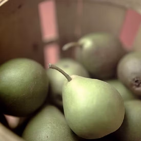 Siêu thực phẩm giảm cân có thể bạn chưa biết ảnh 15