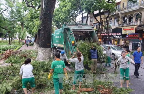 Tham khảo ý kiến về “cắt bỏ” kinh phí cho cây xanh ảnh 1