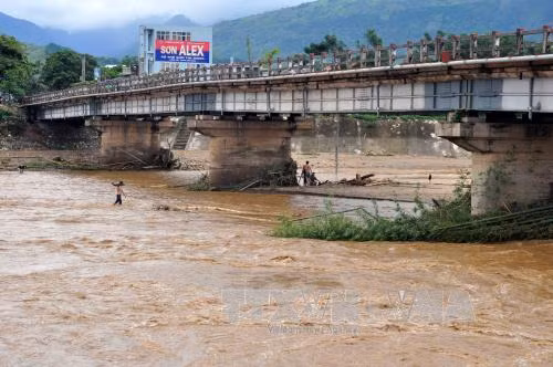 Người dân Yên Bái liều xuống dòng lũ xiết vớt gỗ ảnh 1
