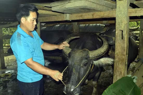 Anh Mù không cam chịu đói nghèo ảnh 1
