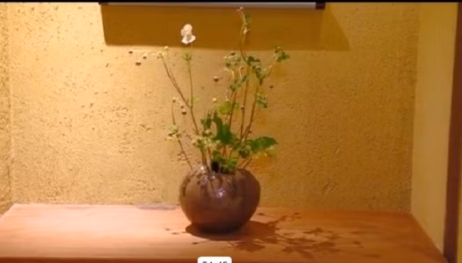 Không gian Ikebana giữa lòng Hà Nội