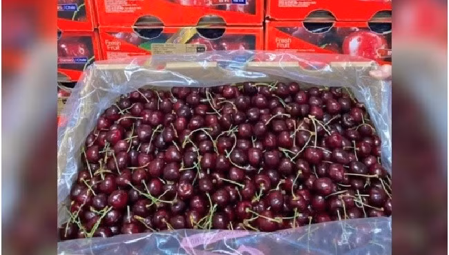 Cherry Chile về Việt Nam giá rẻ chưa từng thấy