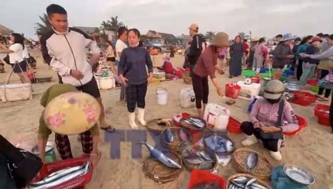 Đà Nẵng: Nhịp sống ngày mới ở chợ cá Tam Tiến