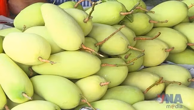 Xoài Việt Nam chiếm lĩnh thị trường Trung Quốc