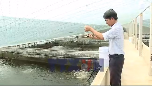 Ninh Bình ứng dụng công nghệ cao trong nuôi trồng thủy sản
