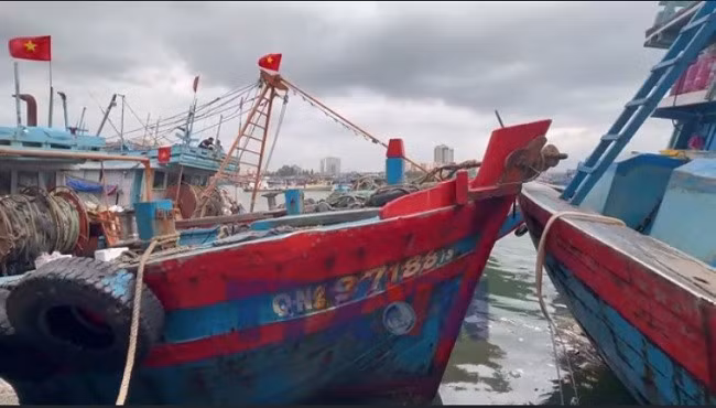 Hoàn thành đầy đủ khuyến nghị của châu Âu về chống khai thác IUU