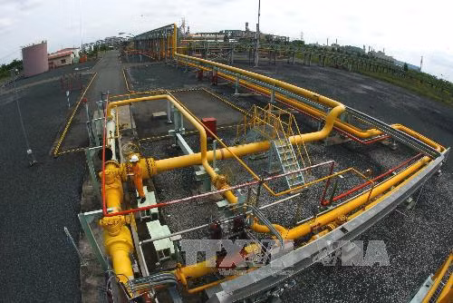 Lợi nhuận tăng, Tổng công ty Khí Việt Nam chia cổ tức 40% ảnh 1