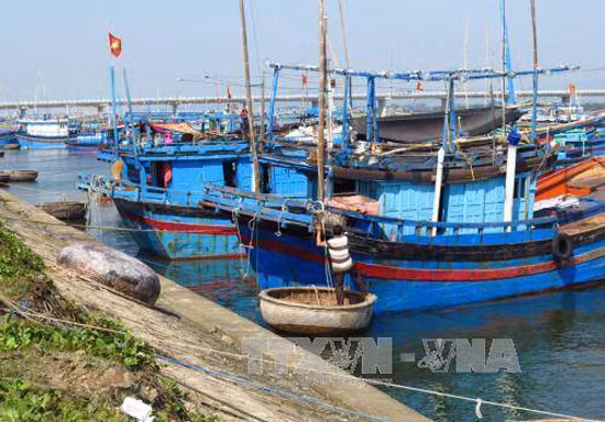 Luồng lạch bị bồi lấp, cảng cá hiện đại thành vô dụng ảnh 1