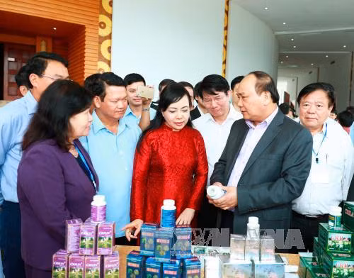 Thủ tướng: Cơ chế đặc thù cho phát triển dược liệu ảnh 3
