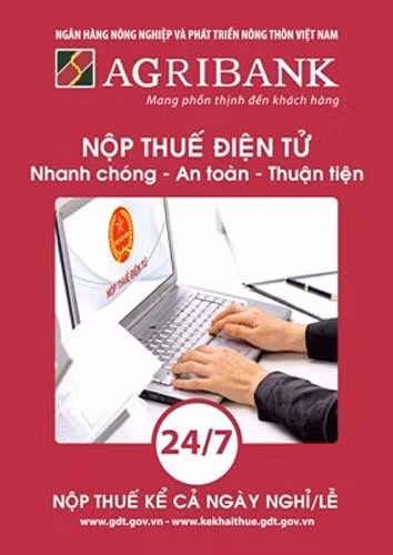 Nộp thuế vào ngân sách nhà nước qua hệ thống Agribank ảnh 2