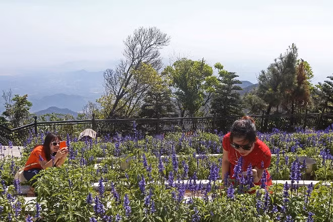 Sun World Ba Na Hills- thiên đường rực rỡ sắc hoa ảnh 8