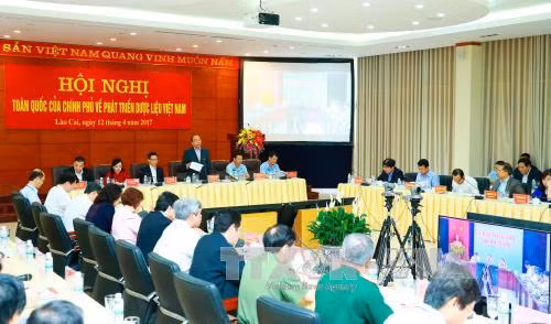 Thủ tướng: Cơ chế đặc thù cho phát triển dược liệu ảnh 2