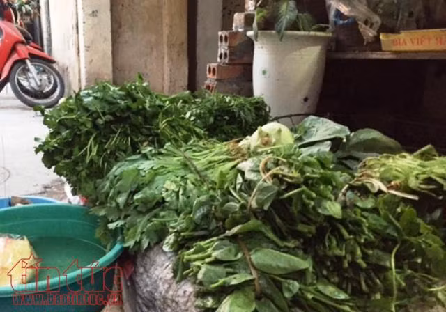 Đắt gấp 2-3 lần nhưng khó phân biệt rau hữu cơ và rau thường ảnh 1