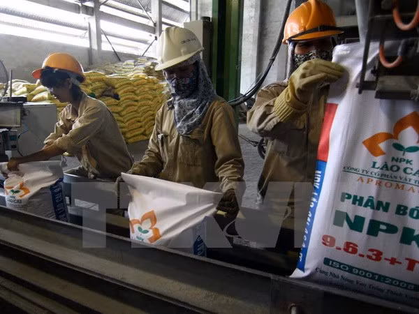 Không để doanh nghiệp có công nghệ từ 'thời cuốc xẻng' sản xuất phân bón ảnh 1
