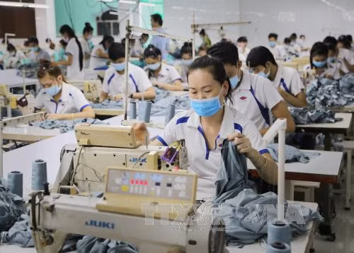 Hội nhập quốc tế: Khi nội lực là yếu tố quyết định ảnh 1