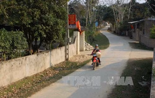 Đến năm 2020 sẽ có 1/3 số xã đạt chuẩn nông thôn mới ảnh 1