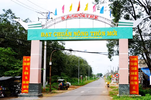 Đồng Nai dẫn đầu về xây dựng nông thôn mới ảnh 1