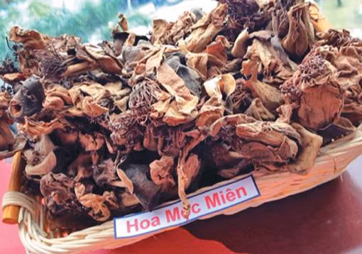Bí ẩn của 9 loại thảo mộc ảnh 7