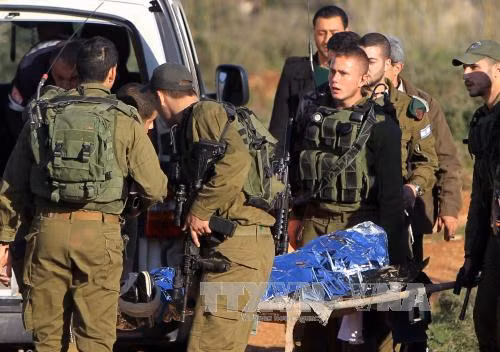 Palestine chính thức xin gia nhập ICC ảnh 1