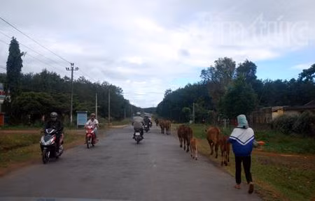 Điểm sáng nông thôn mới ở Ea Tul ảnh 7