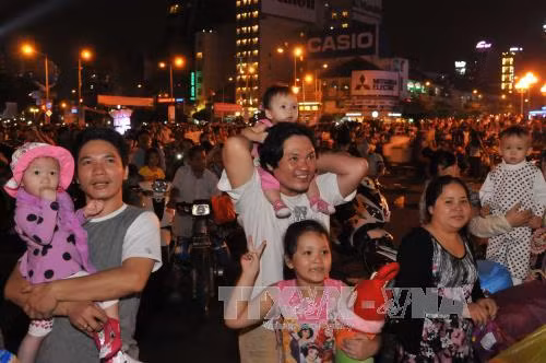Rực rỡ pháo hoa chào năm mới tại TP Hồ Chí Minh ảnh 1