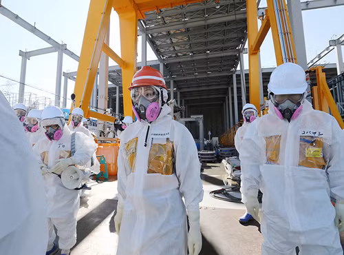 Gạo Fukushima thoát nhiễm xạ ảnh 2