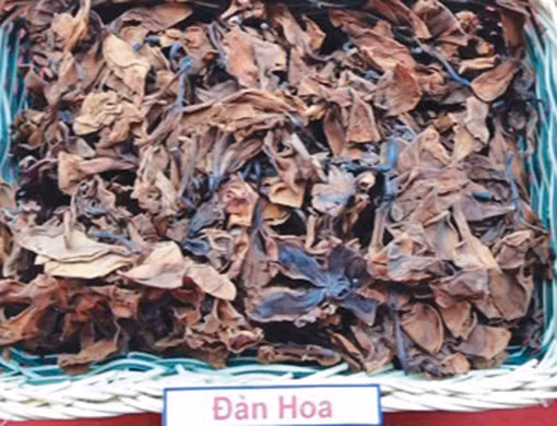 Bí ẩn của 9 loại thảo mộc ảnh 4