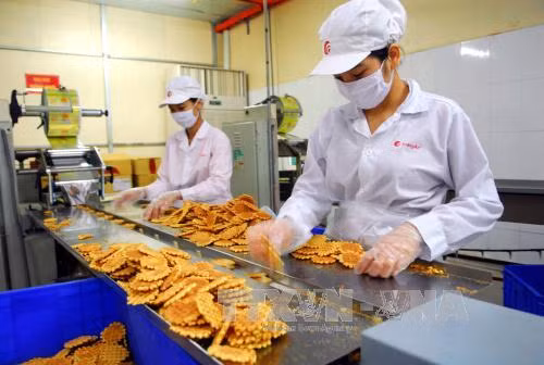 Công nghiệp Việt Nam: Chờ những cú hích để tiến xa hơn ảnh 1