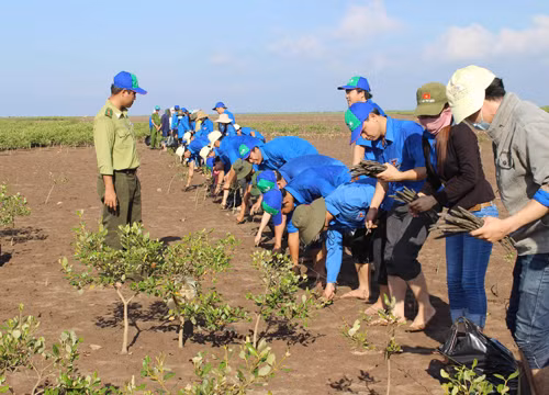 Vựa lúa Đồng bằng sông Cửu Long: Đối mặt nguy cơ "kép" ảnh 2