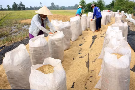 Gỡ khó cho tiêu thụ nông sản ảnh 1