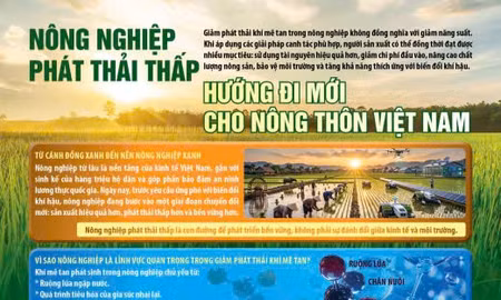 Nông nghiệp phát thải thấp hướng đi mới cho nông thôn Việt Nam