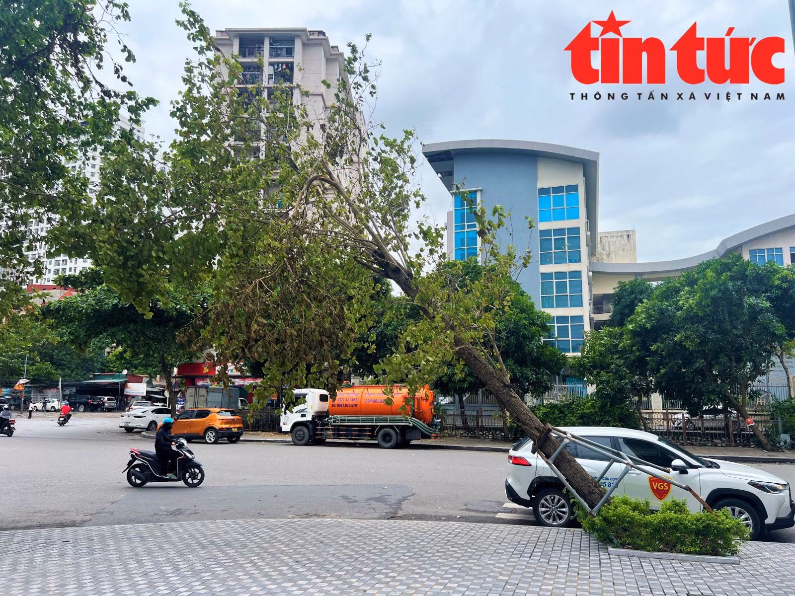 Chú thích ảnh