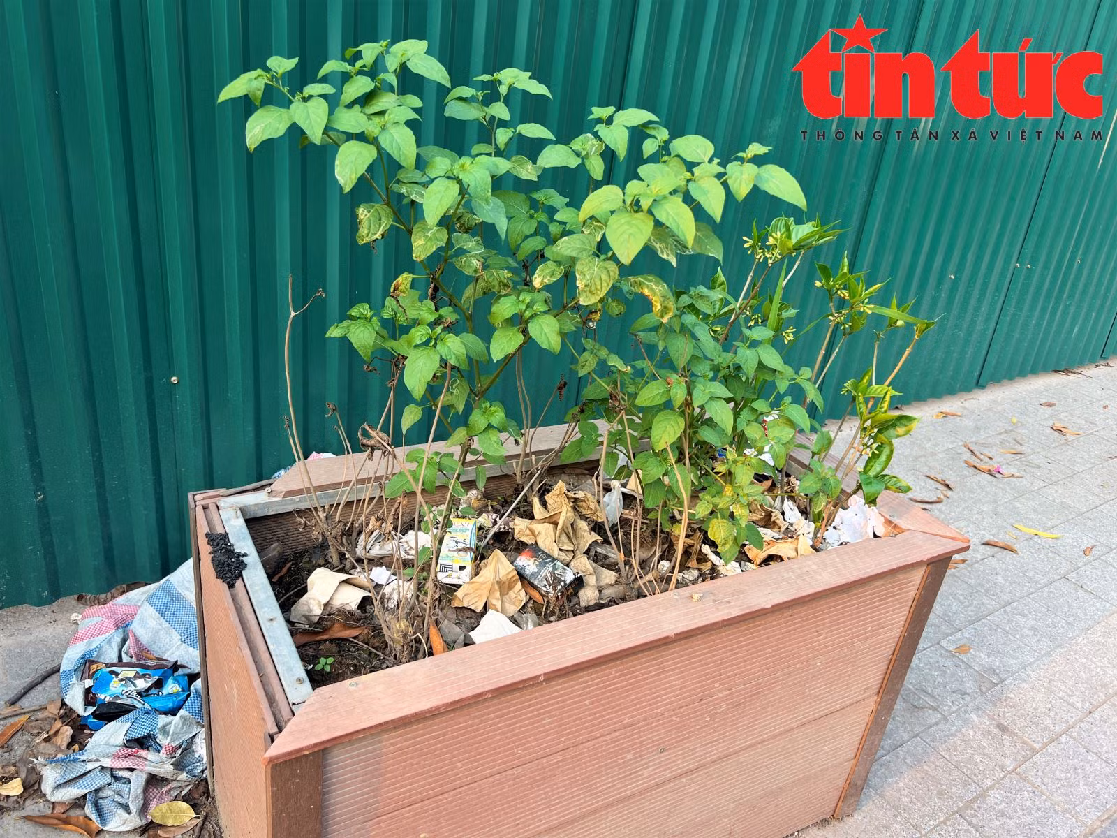 Chú thích ảnh