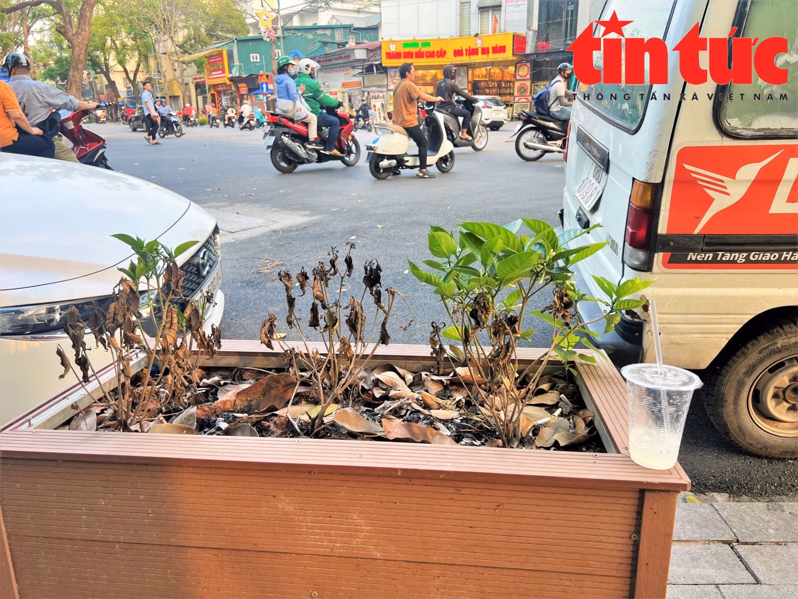 Chú thích ảnh
