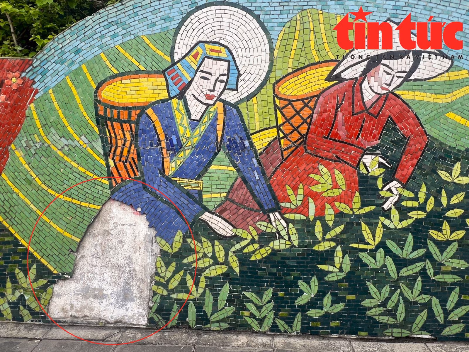 Chú thích ảnh