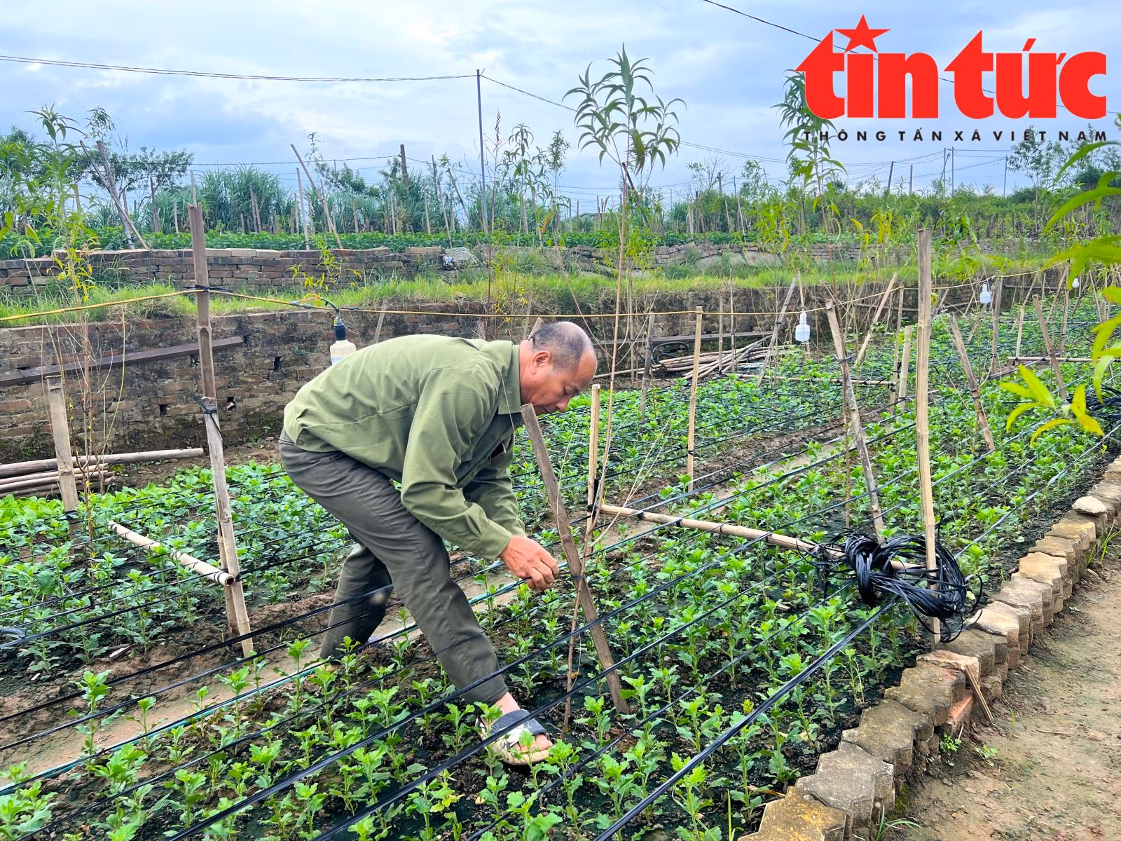 Chú thích ảnh