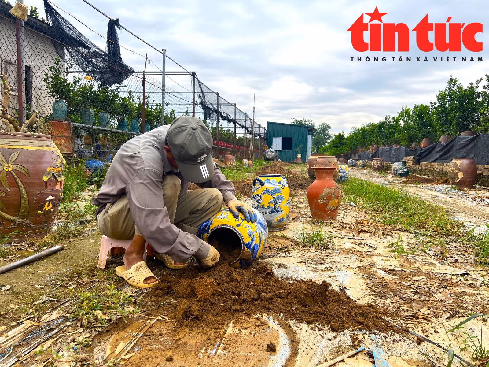 Chú thích ảnh