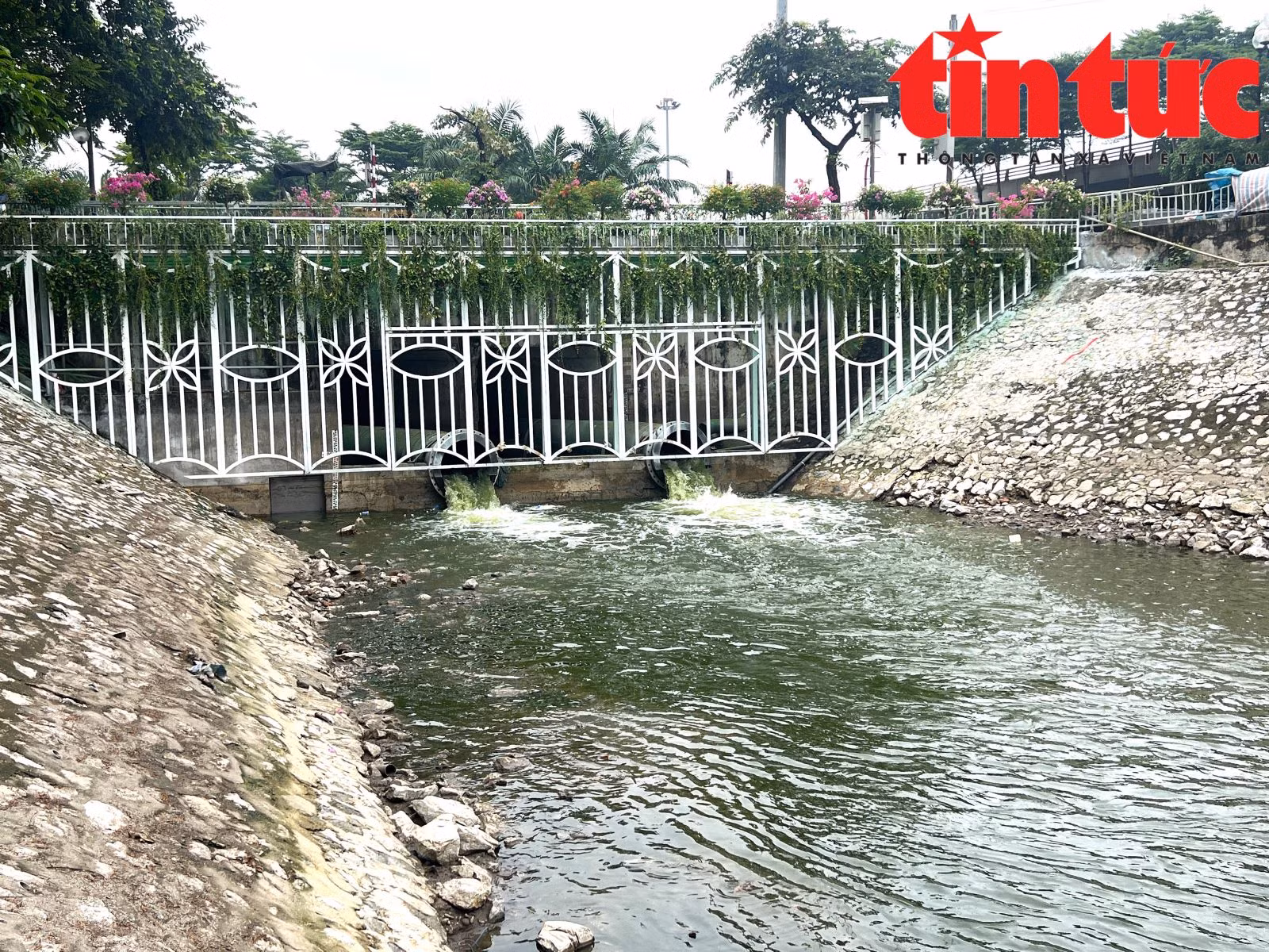 Chú thích ảnh