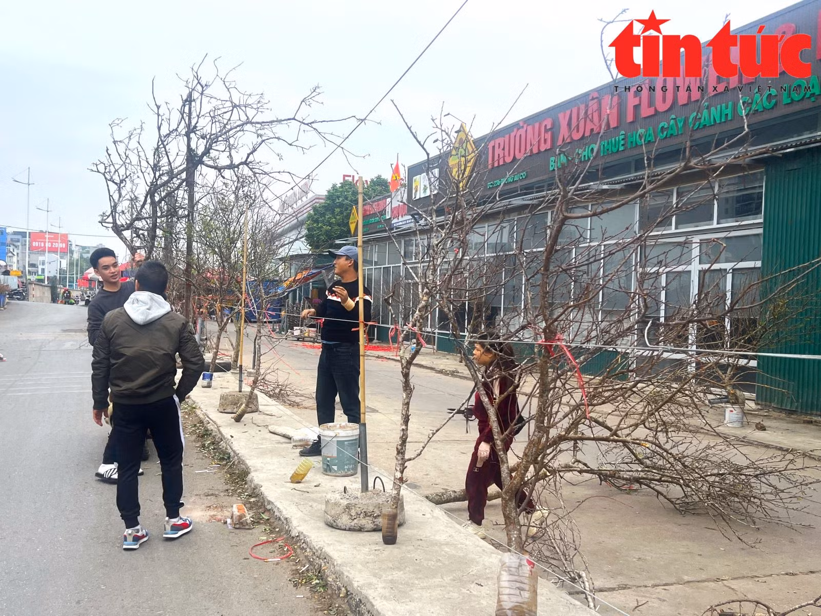 Chú thích ảnh