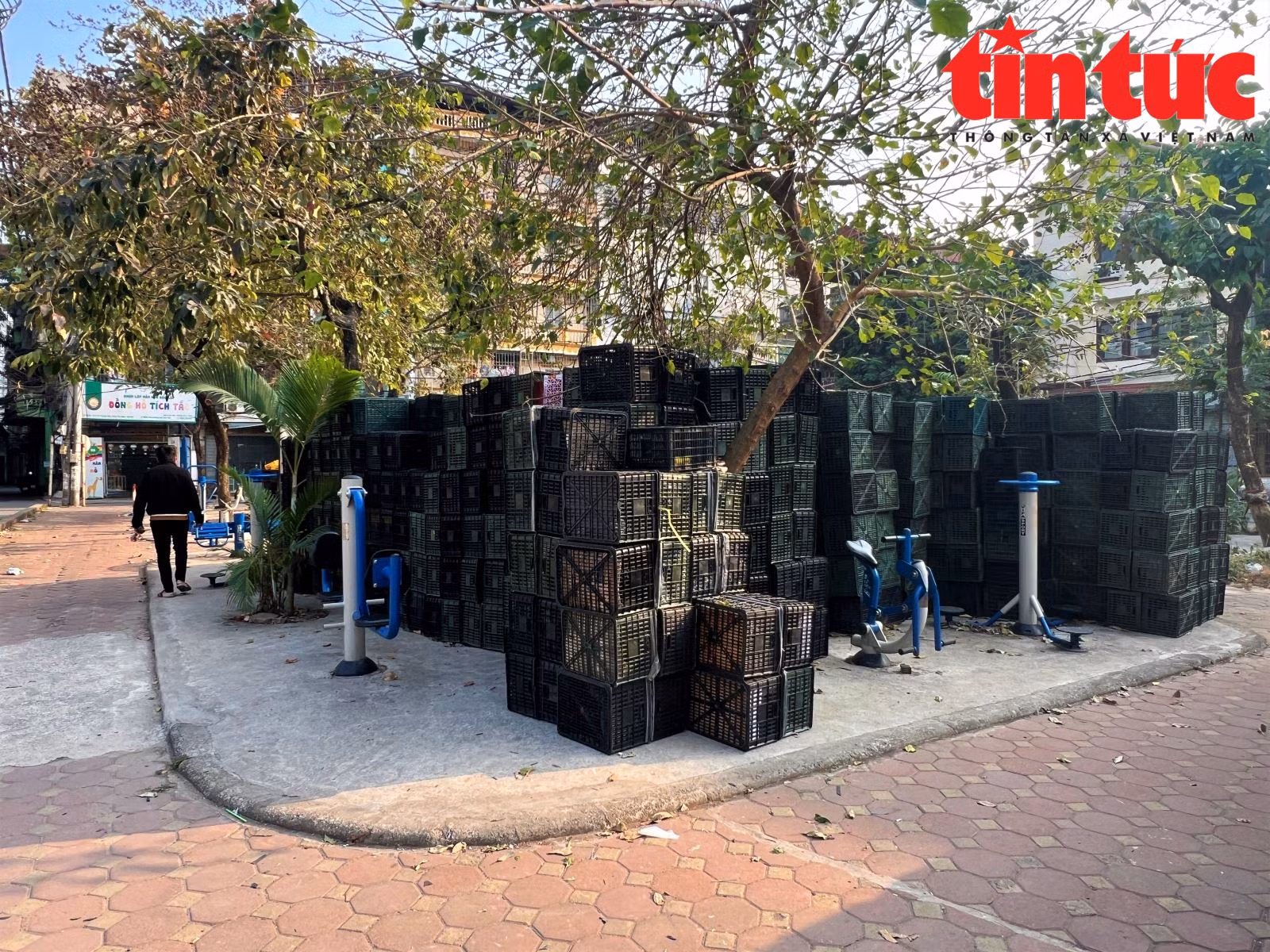 Chú thích ảnh
