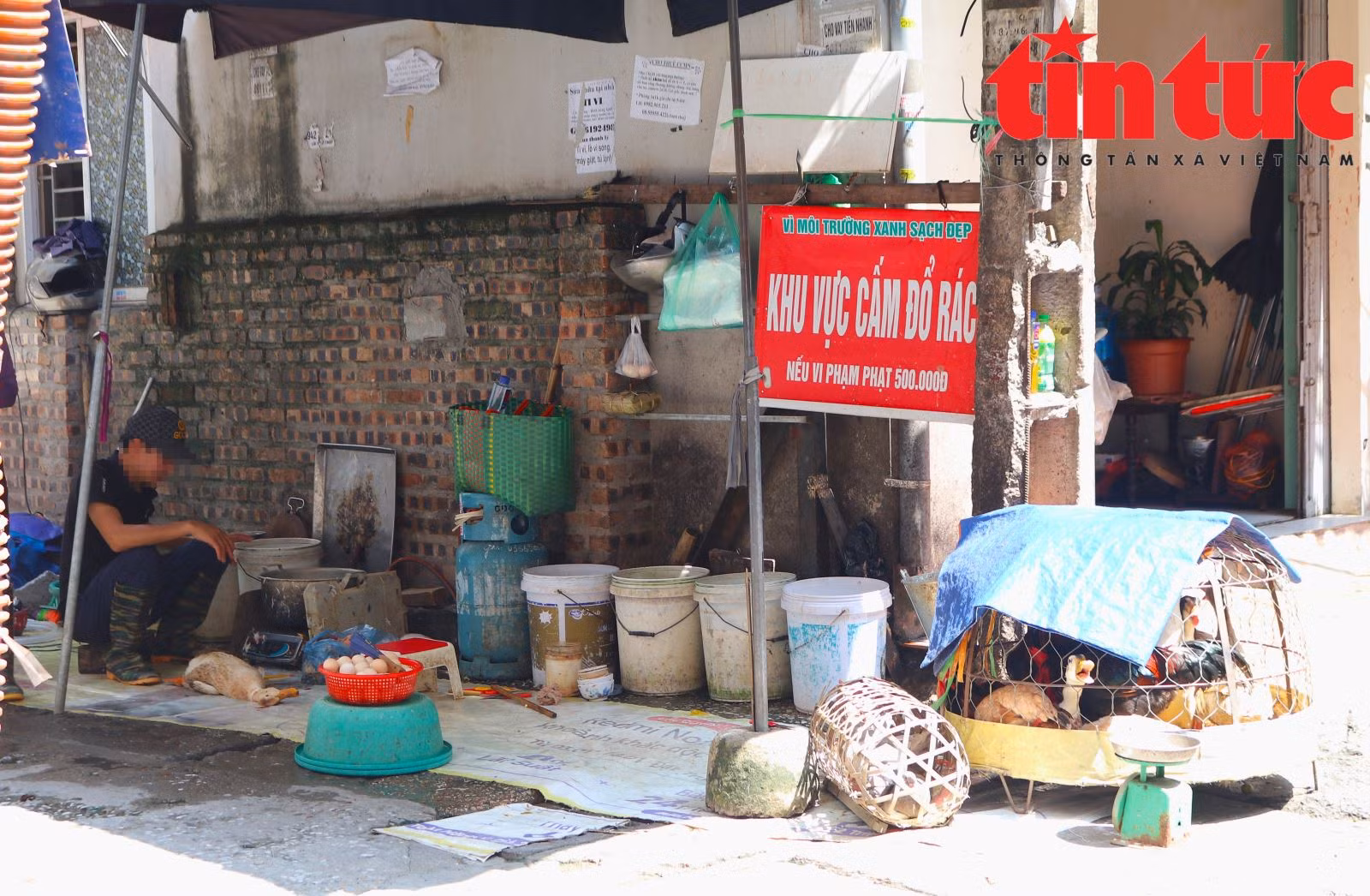 Chú thích ảnh