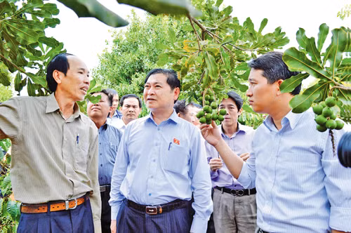 Phải xây dựng qui hoạch phát triển ảnh 1