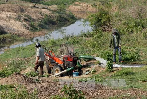 Đắk Lắk cạn kiệt nước ngầm vì khai thác trái phép ảnh 1