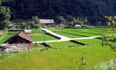 Phát huy sức dân để xây dựng thành công nông thôn mới ảnh 1