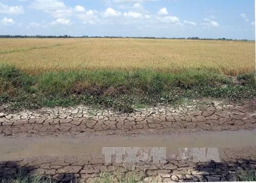 Tháng 4, miền Bắc còn 2-3 đợt không khí lạnh ảnh 1
